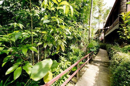 Ubud Heaven Sayan Dış mekan fotoğraf